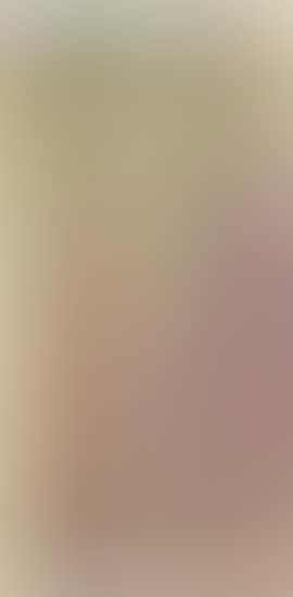 Untitled LP 17 (preview)