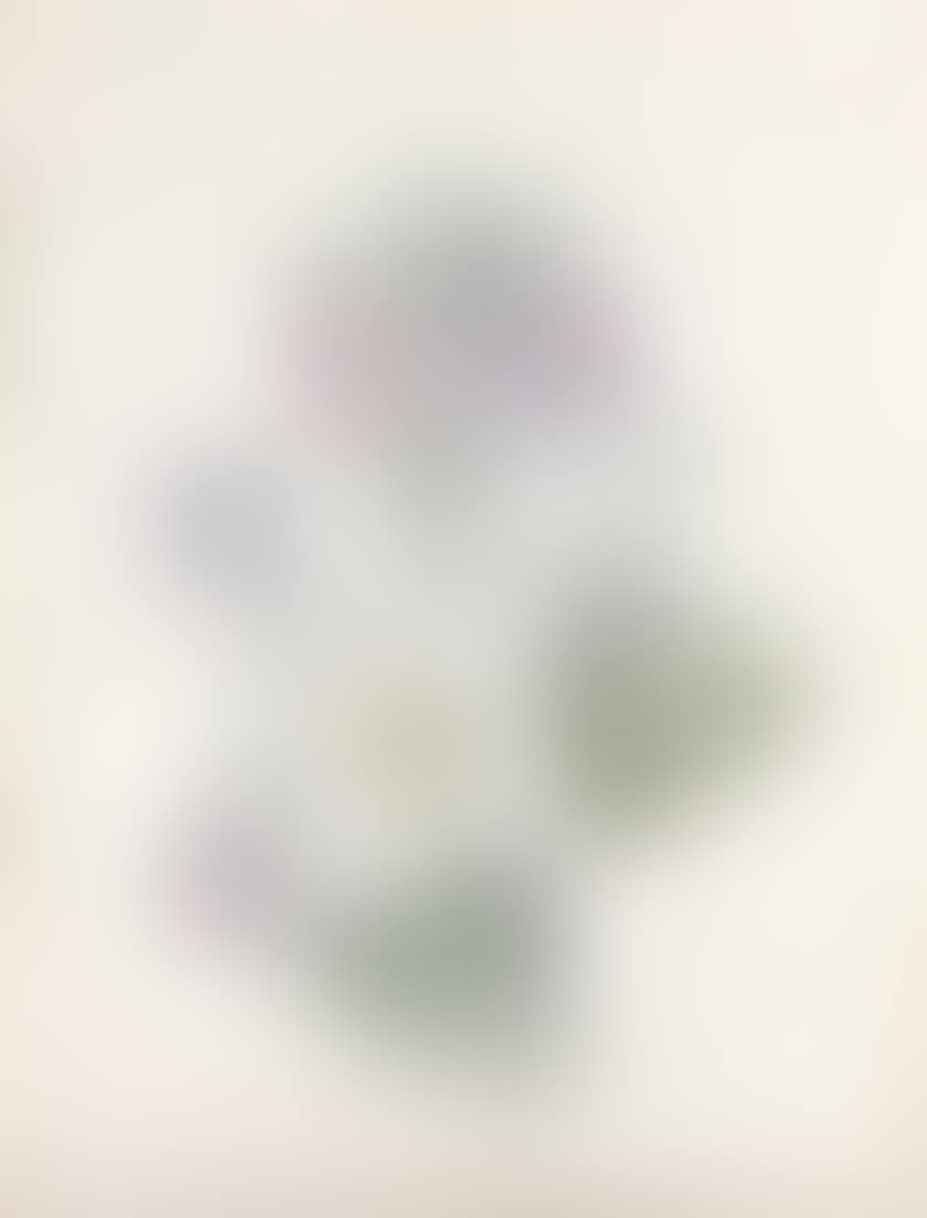 Primroses and white flowers (preview)