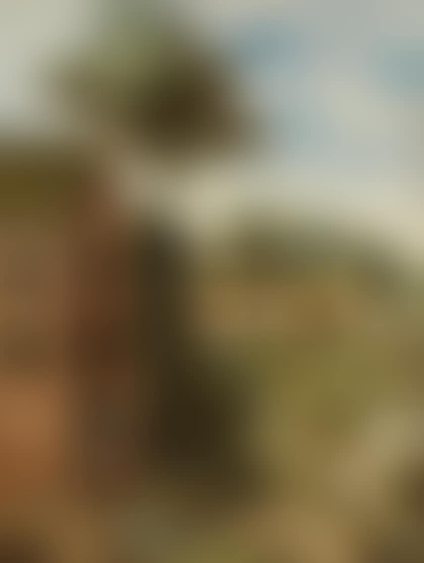 View of a village animated with characters (preview)