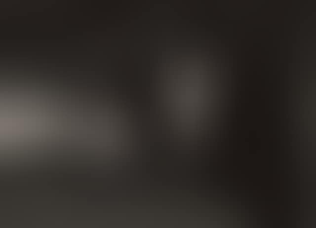 Venice (preview)