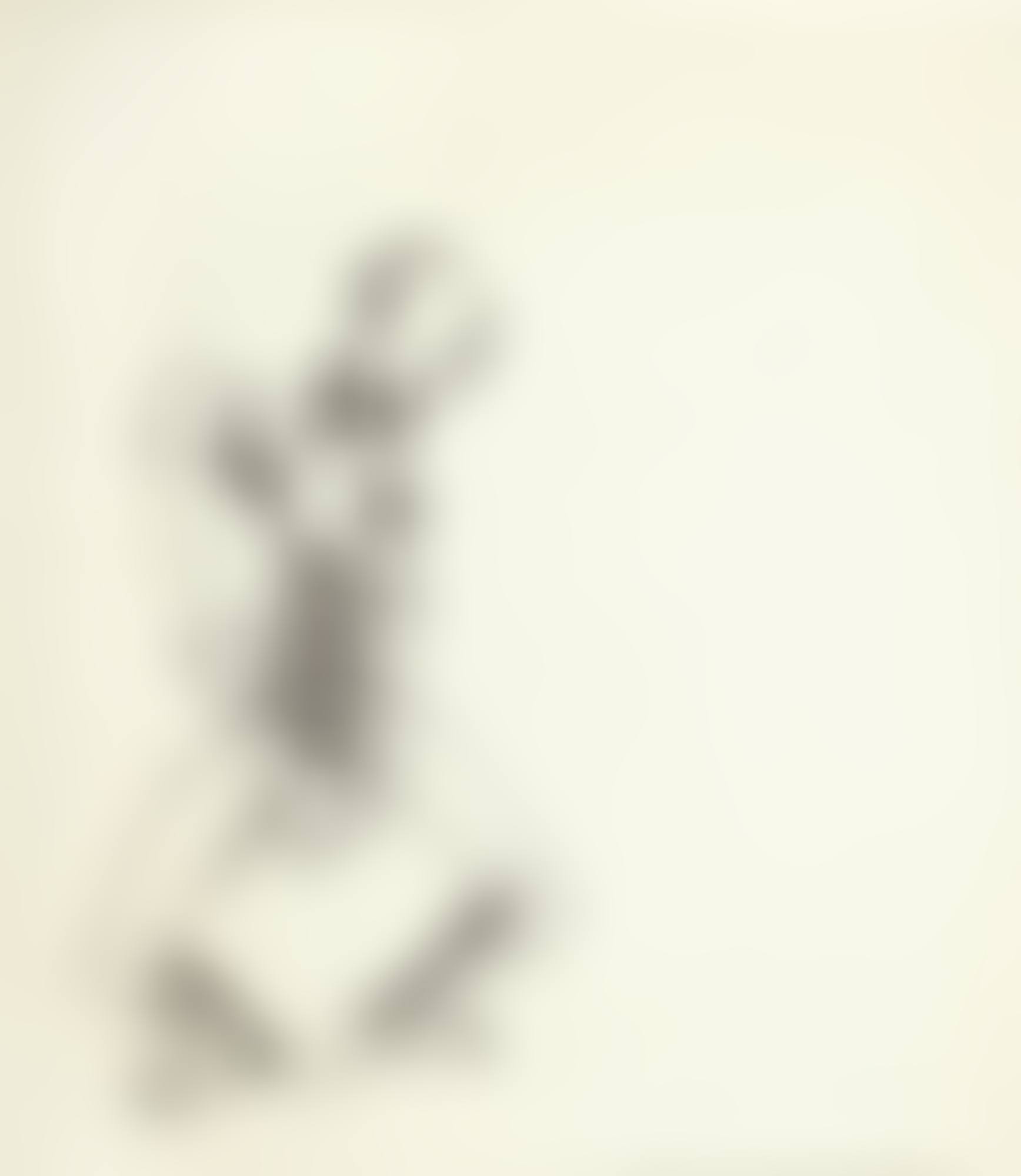 FREEDOM (preview)