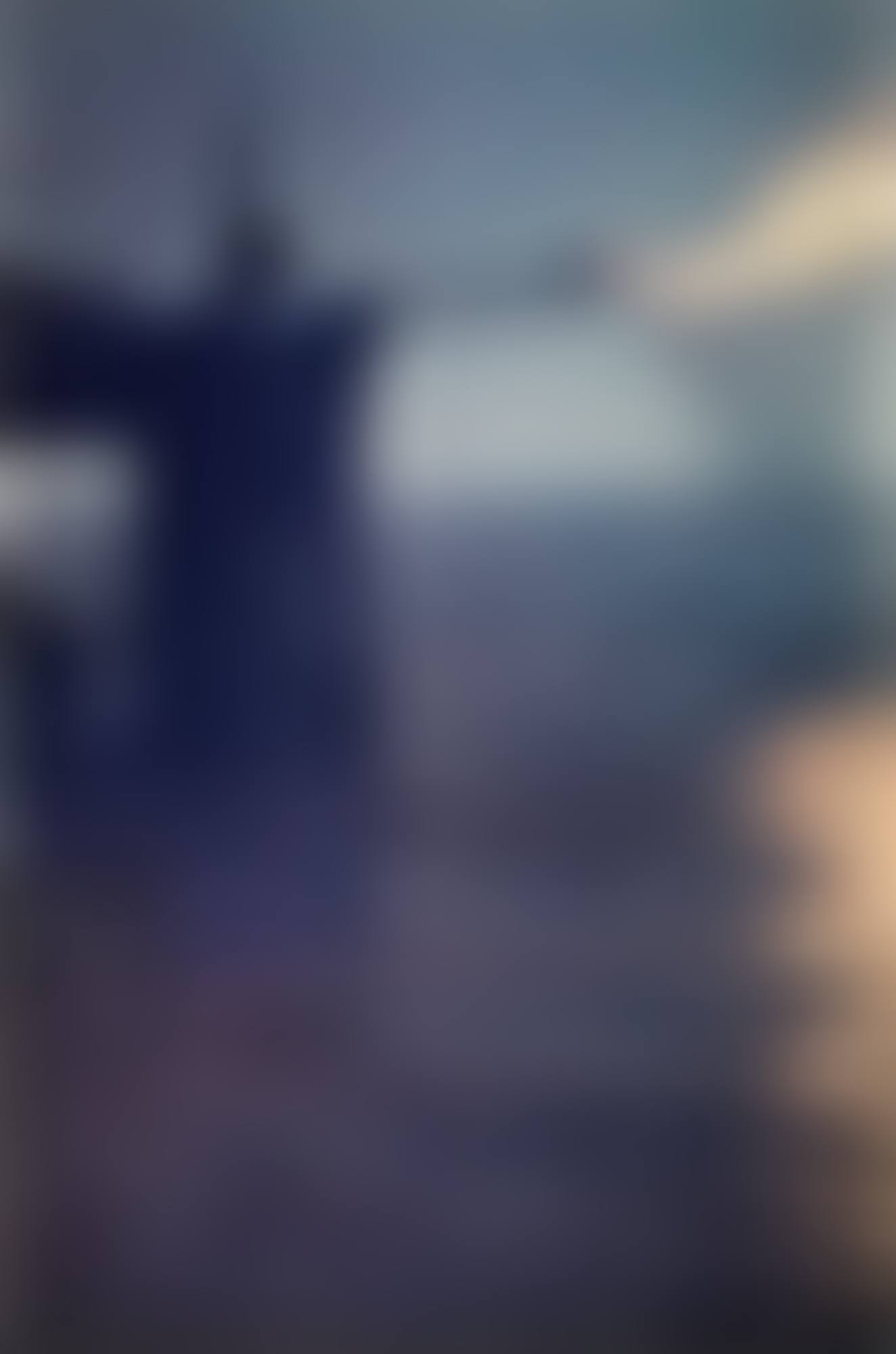 FALLON (preview)