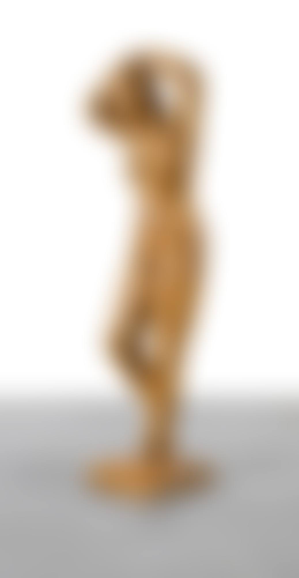 DESNUDO DE MUJER (FEMALE NUDE) (preview)