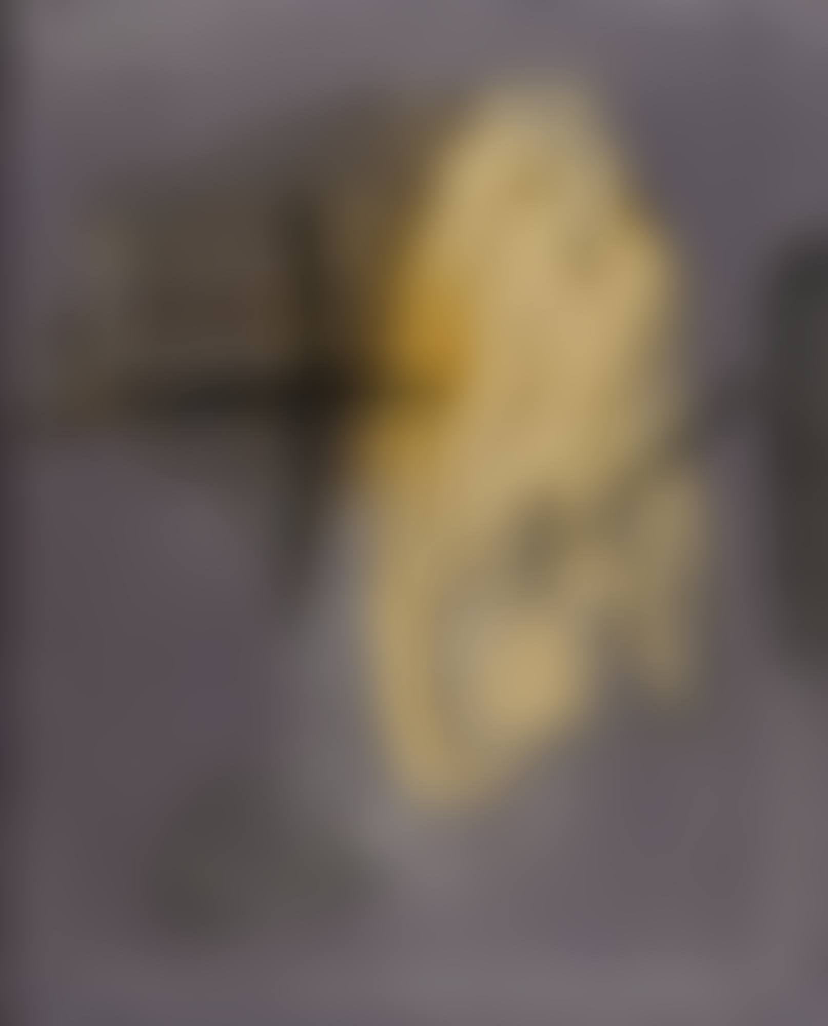 NO-ATMAN (preview)