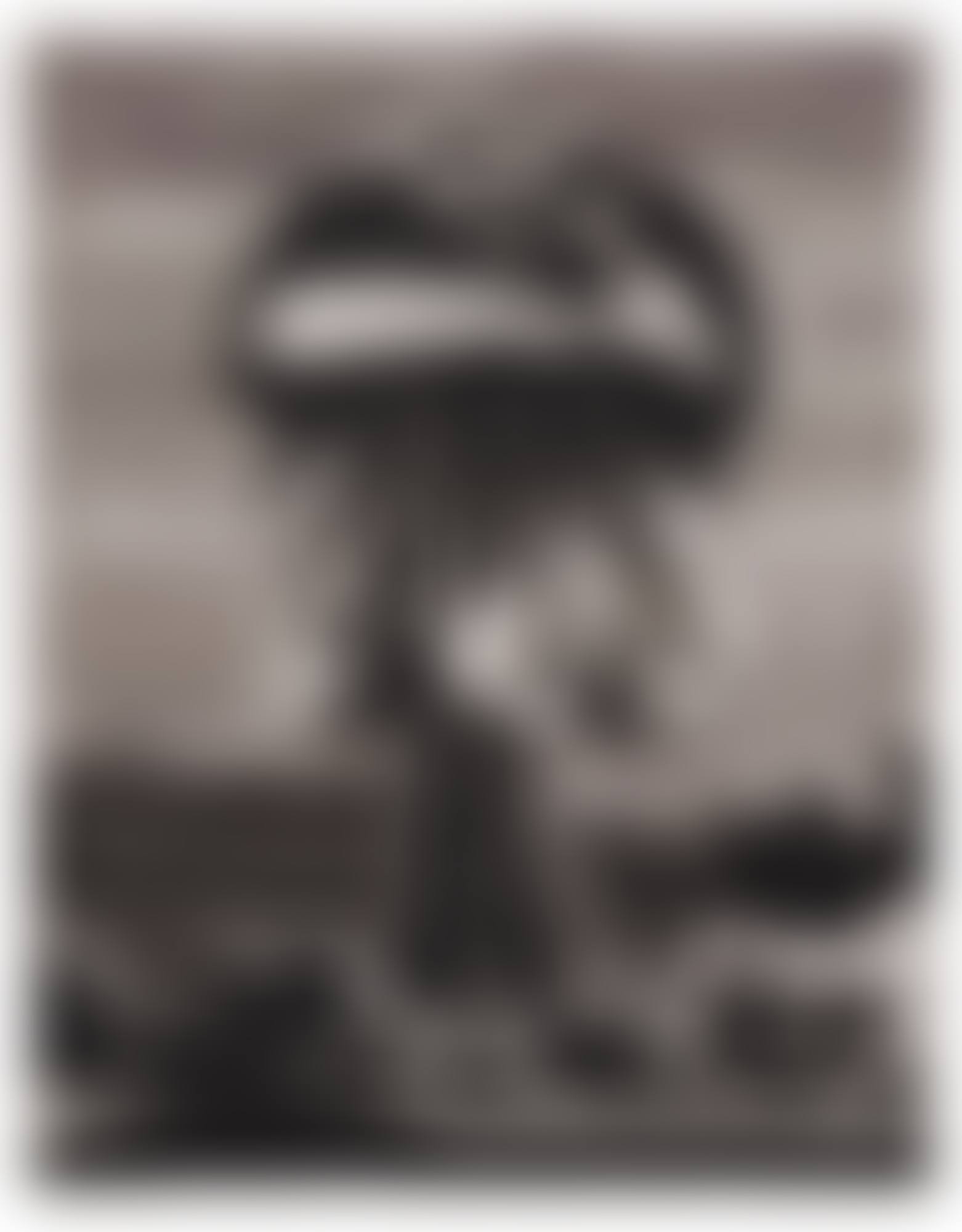 GRABLE, 1948 B (preview)