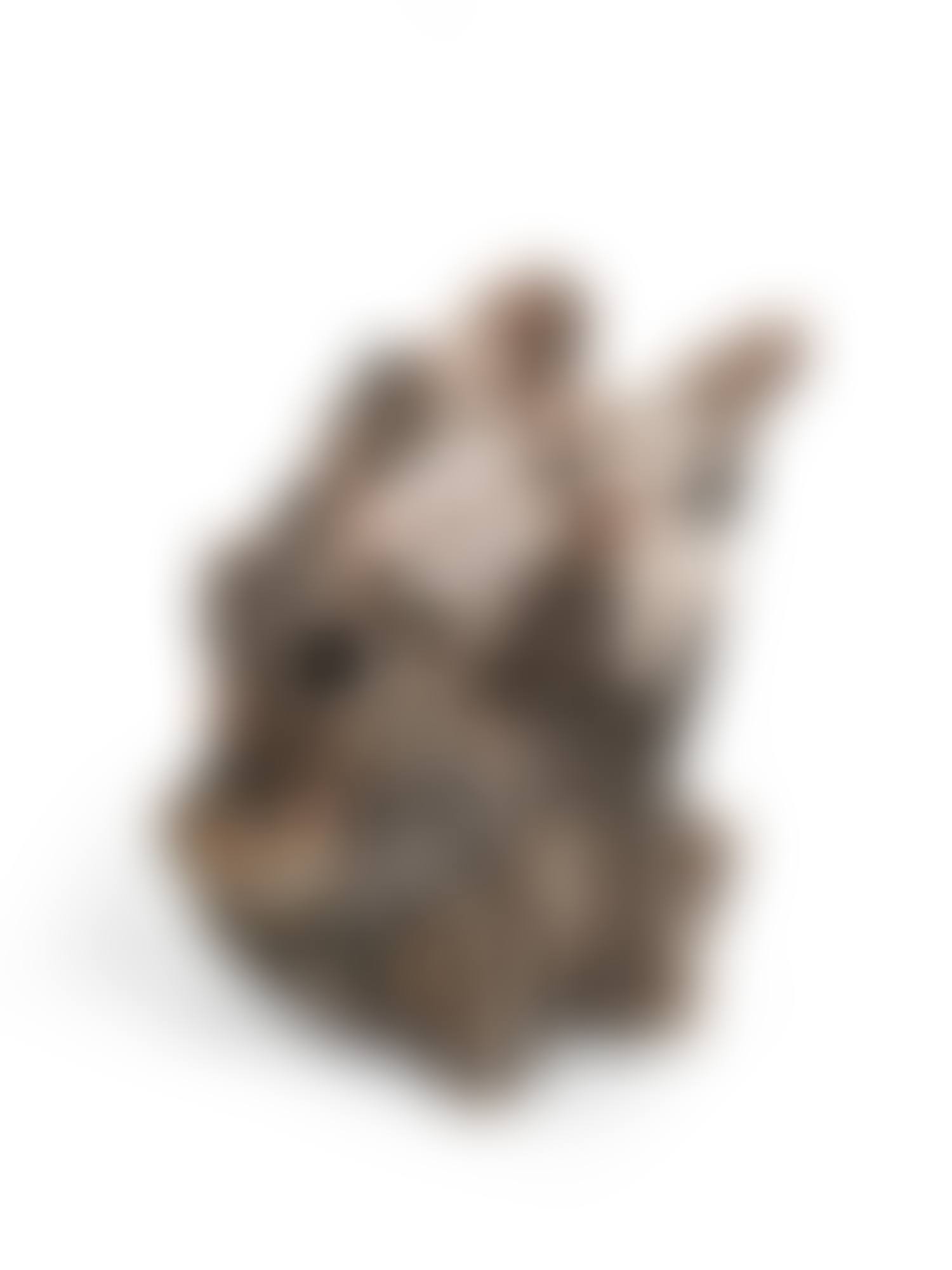 STANDING FORM (preview)