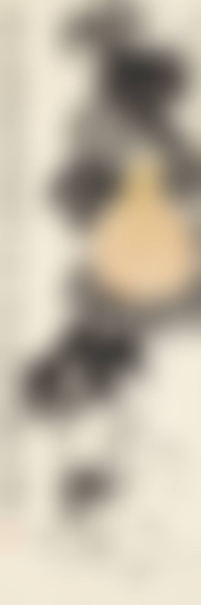 YELLOW GOURD (preview)
