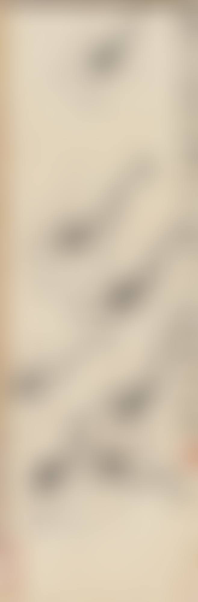 SEVEN SHRIMPS (preview)