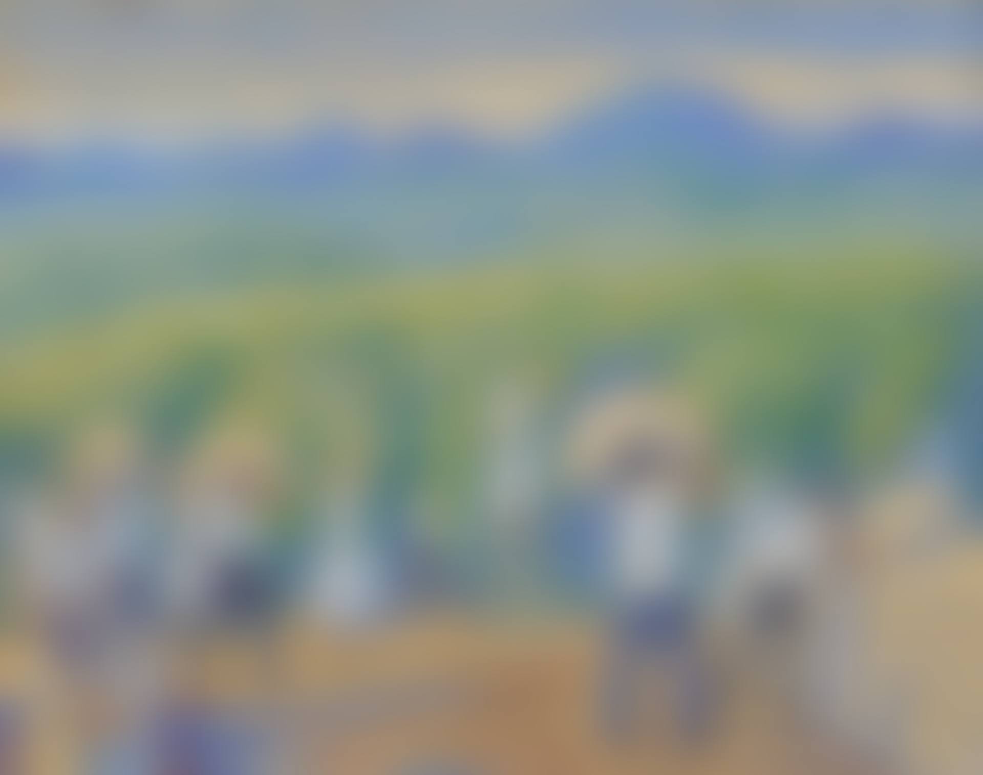 PLANTATION IN SAO PAOLO (HARVESTING COFFEE) (preview)