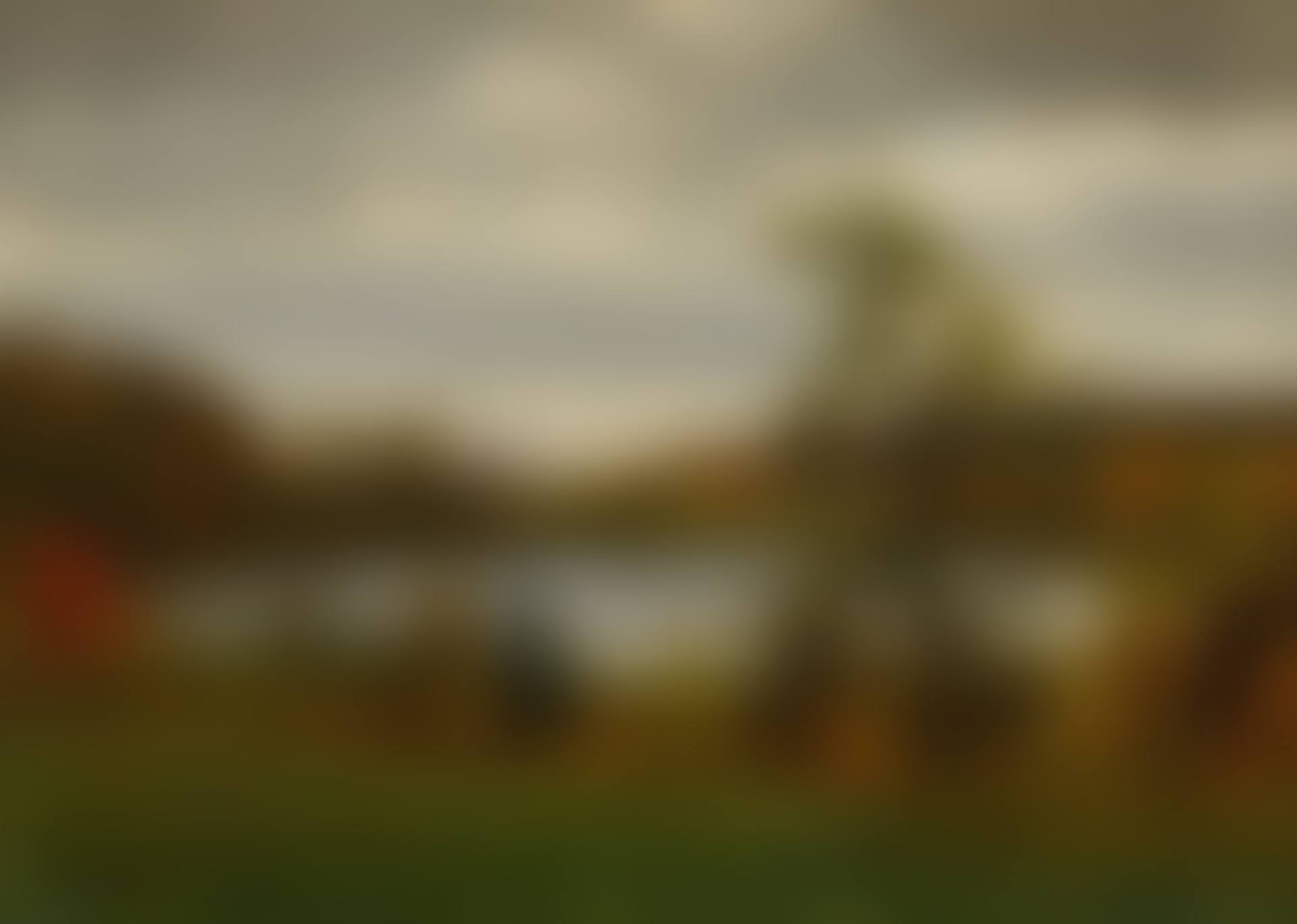 LANDSCAPE WITH LAKE (preview)
