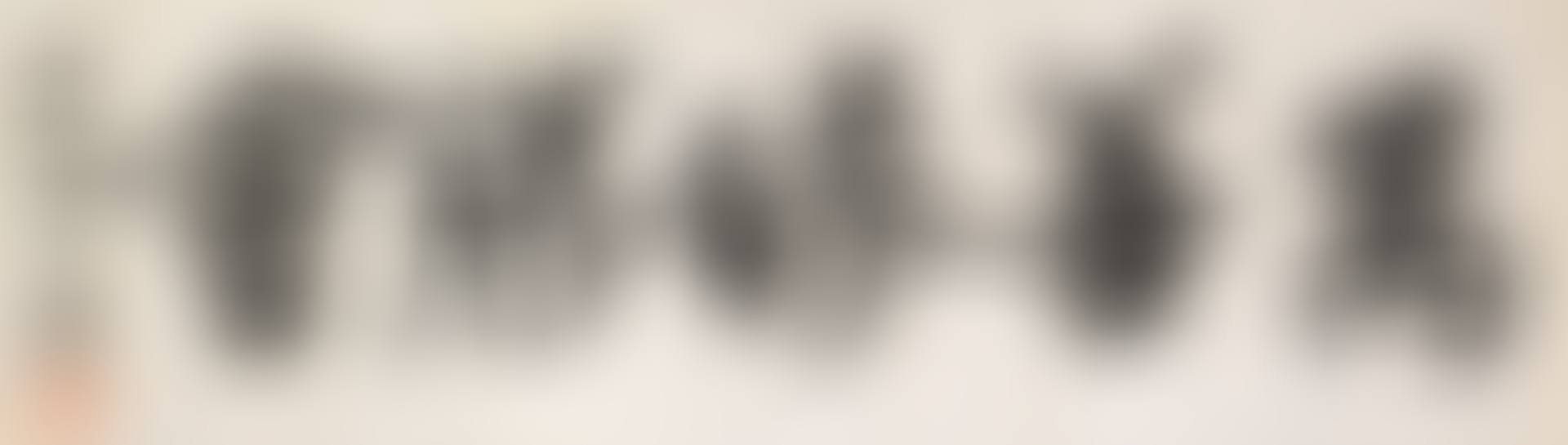 CALLIGRAPHY IN BOKE STYLE (preview)