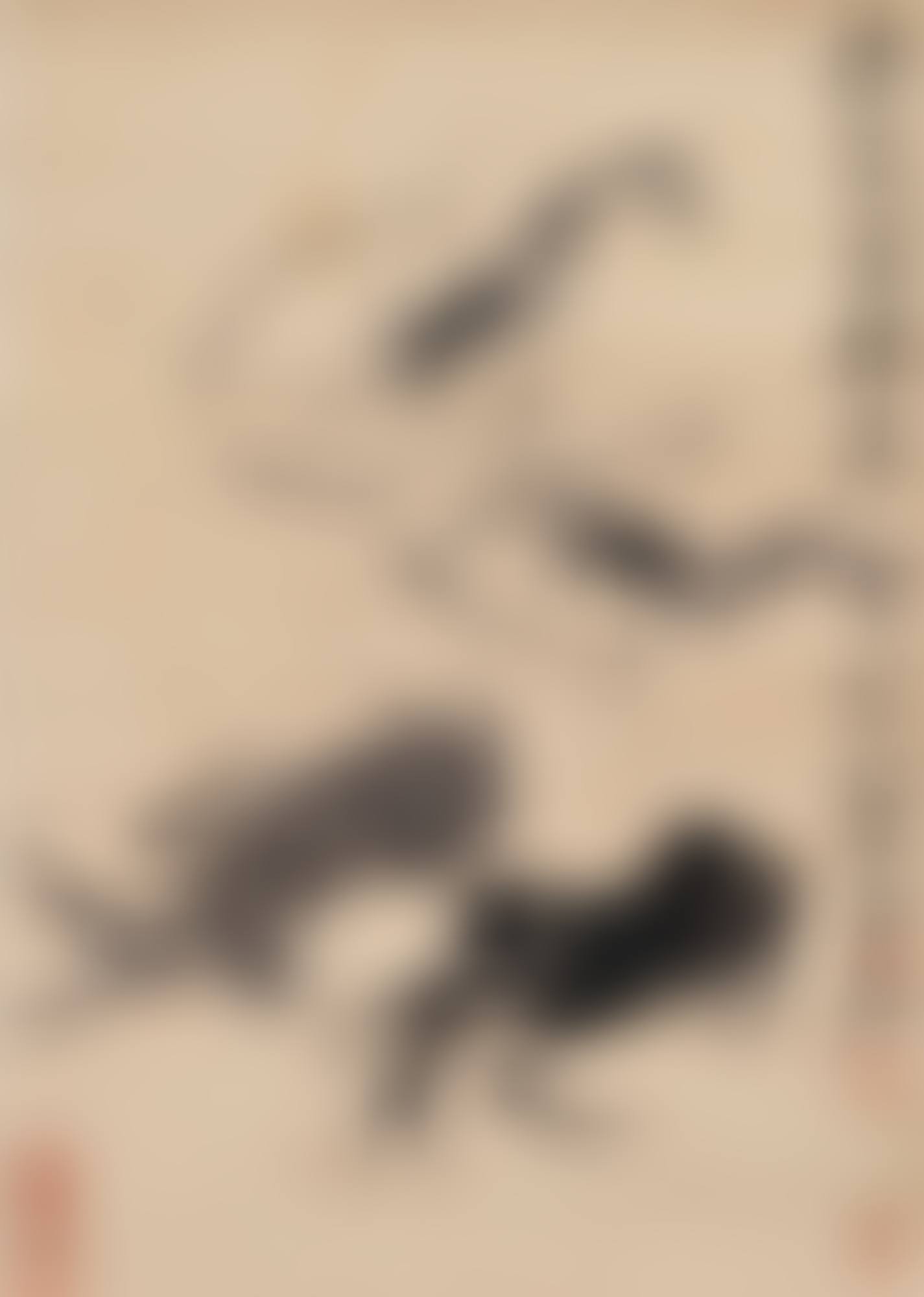TWO SHRIMPS AND TWO CRABS (preview)