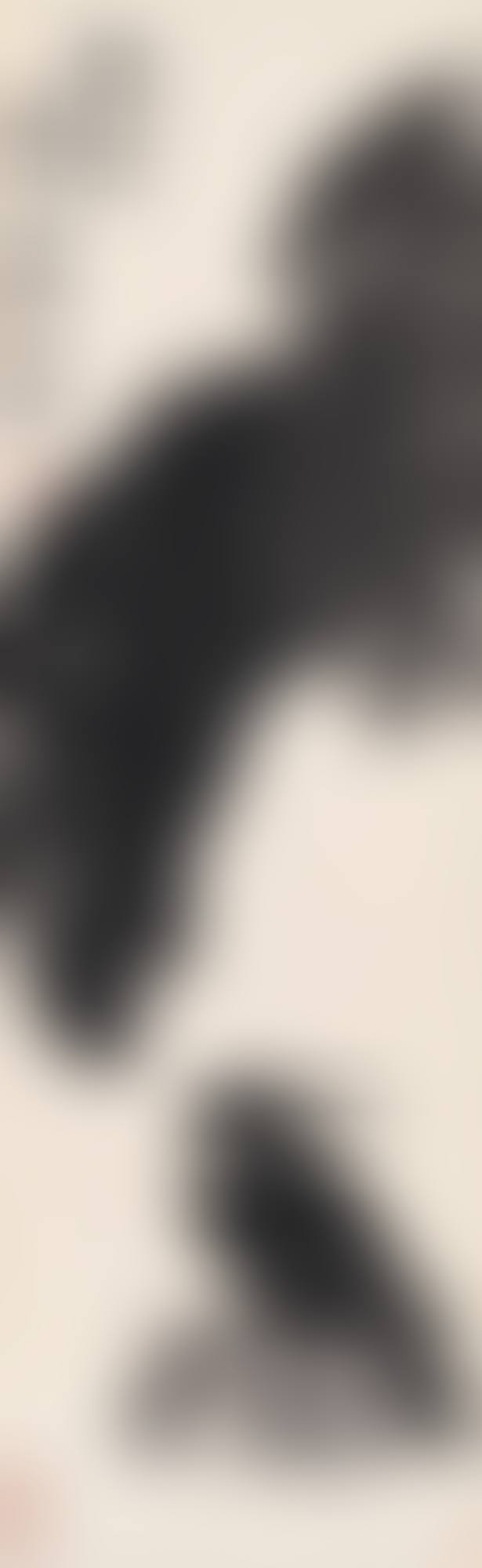 A MYNA UNDER BANANA LEAF (preview)