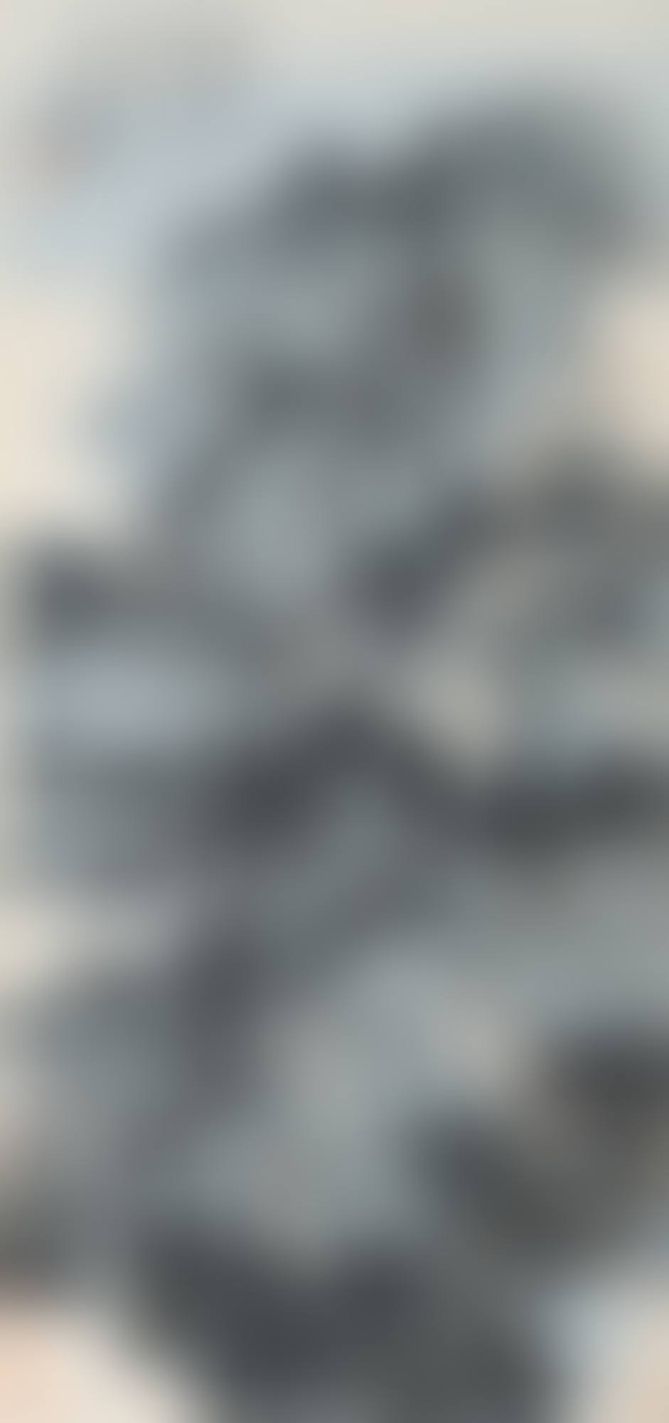 LANDSCAPE AFTER SHITAO  (preview)