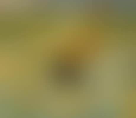 Vloed (preview)