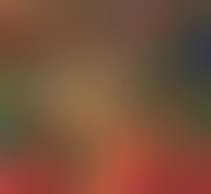 Premiers Gestes (preview)