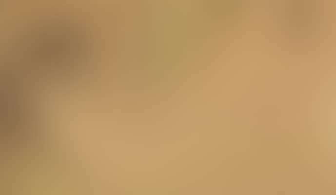 Baigneuses (preview)