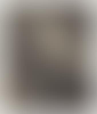 Jan Cornelis Sylvius (preview)