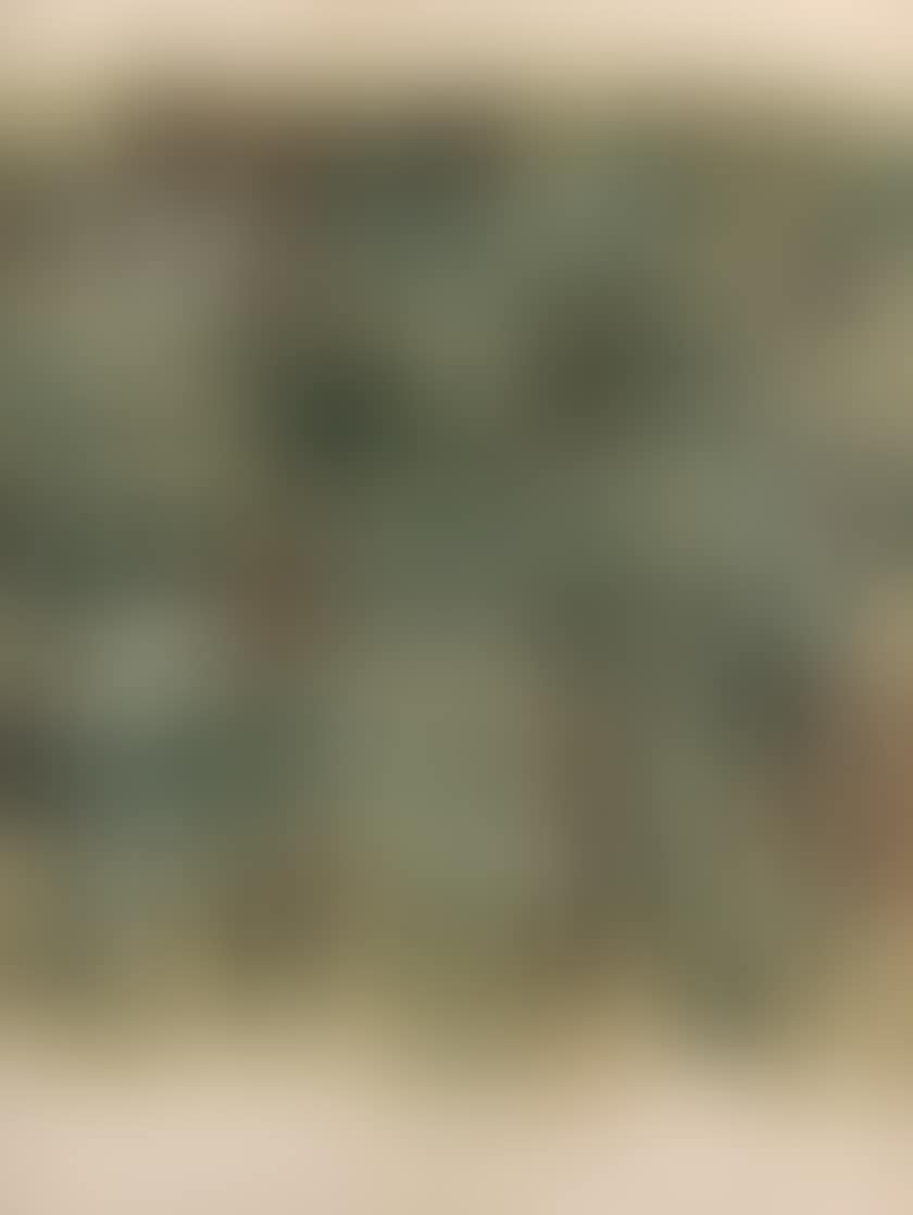 Visitors to the Louvre (preview)