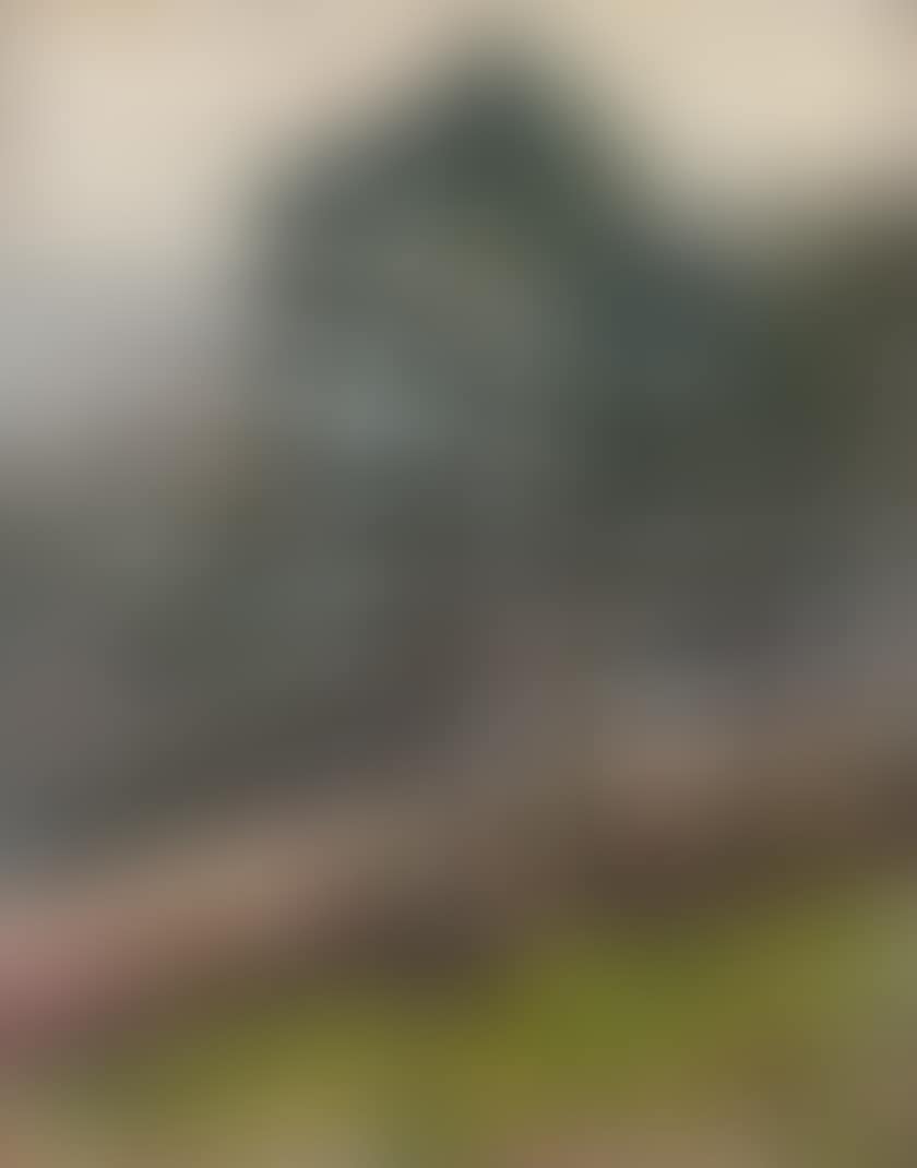 LANDSCAPE (preview)