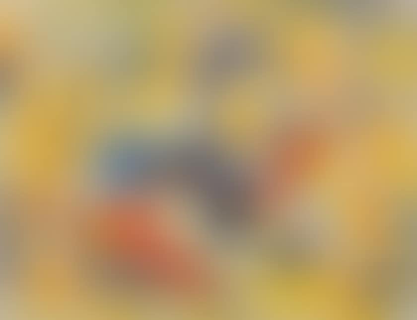 The dance of the sun (preview)