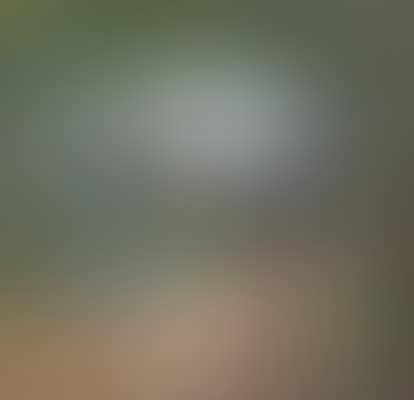 Le matin au jardin, Clos Cézanne (preview)