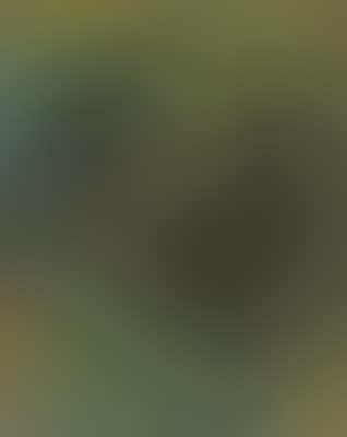 Self Portrait (Green Jacket) (preview)