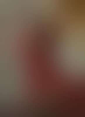 Portrait de Madame Hessel ou La Dame en Rouge (preview)