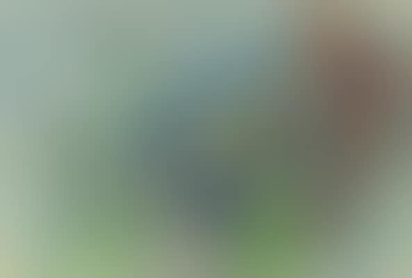Twilight (preview)