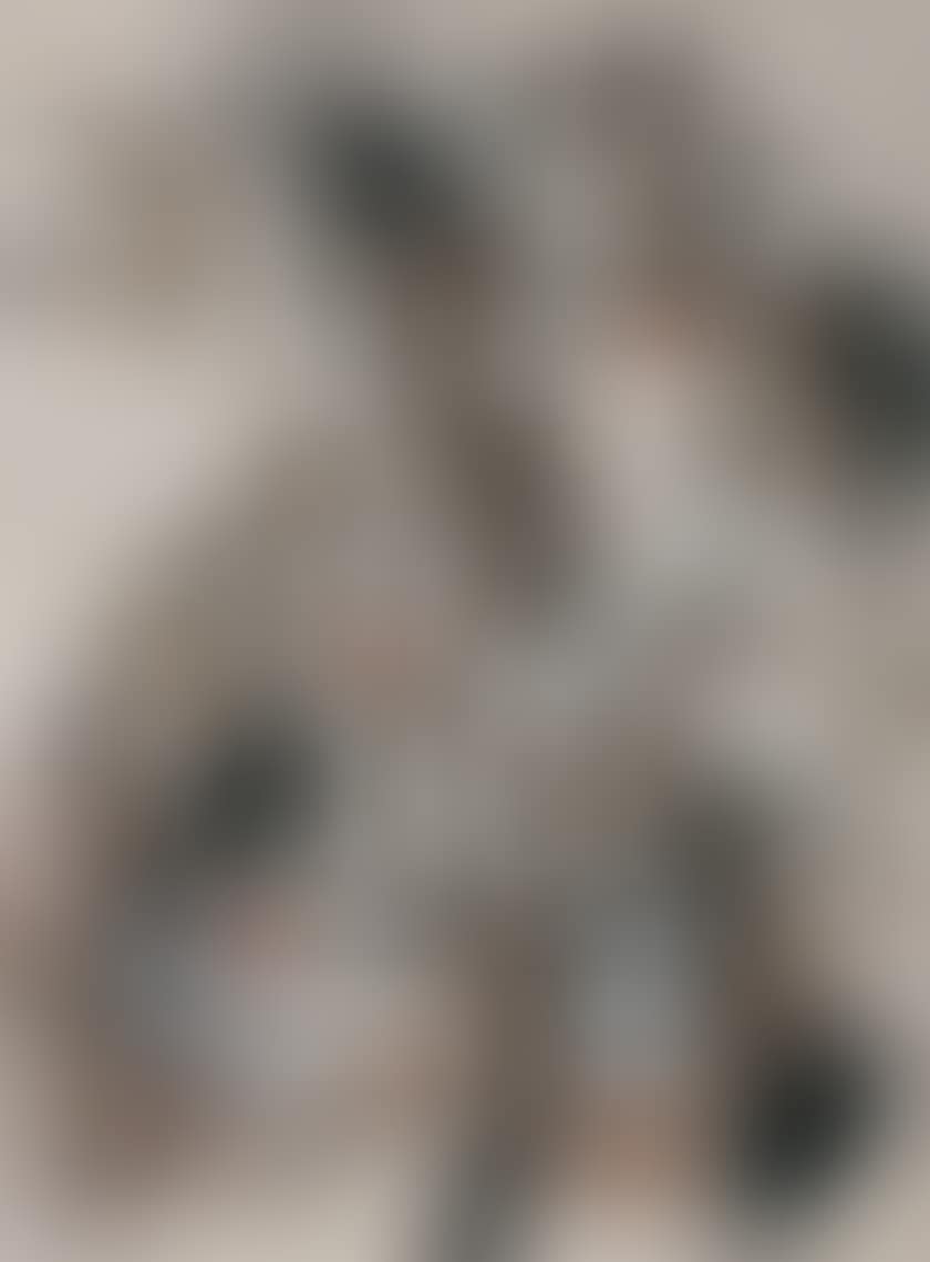 GEESE (preview)