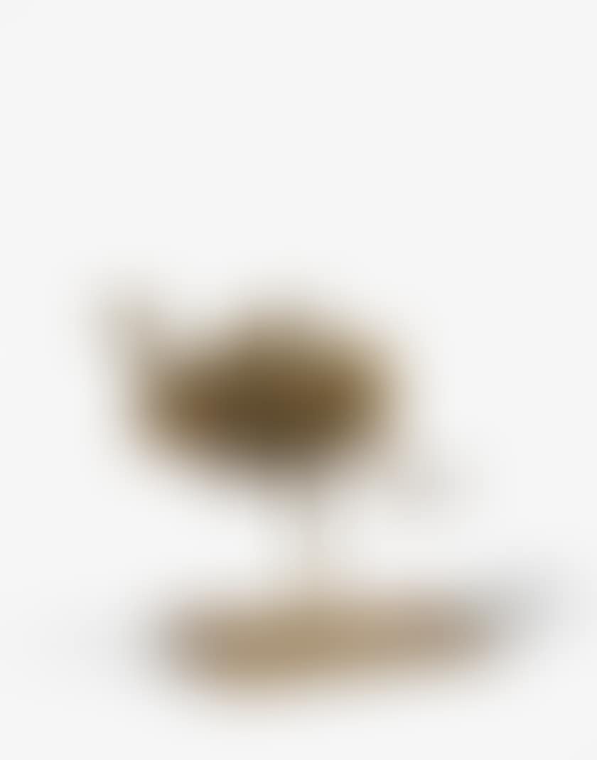 CHICKEN ON A PAW (preview)