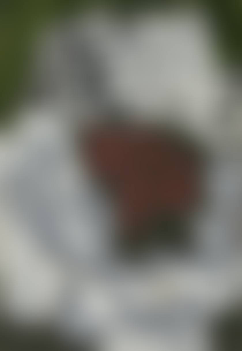 PORTRAIT OF VAN GOGH (preview)