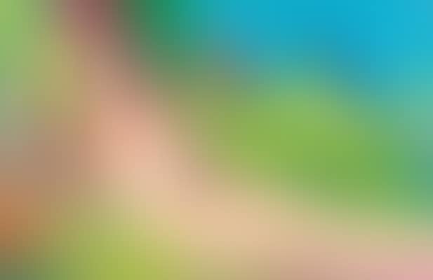 Where is Vincent van Gogh? (preview)