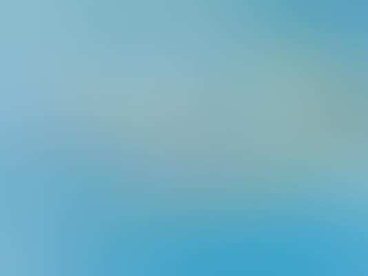 30.03.2006 (preview)
