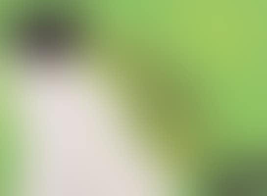 A GREEN CAT (preview)
