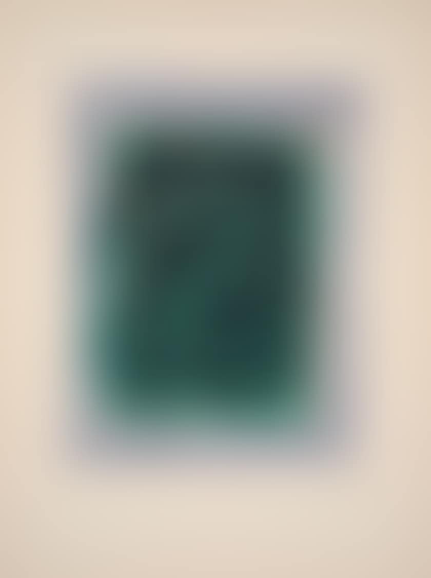 The forest (preview)