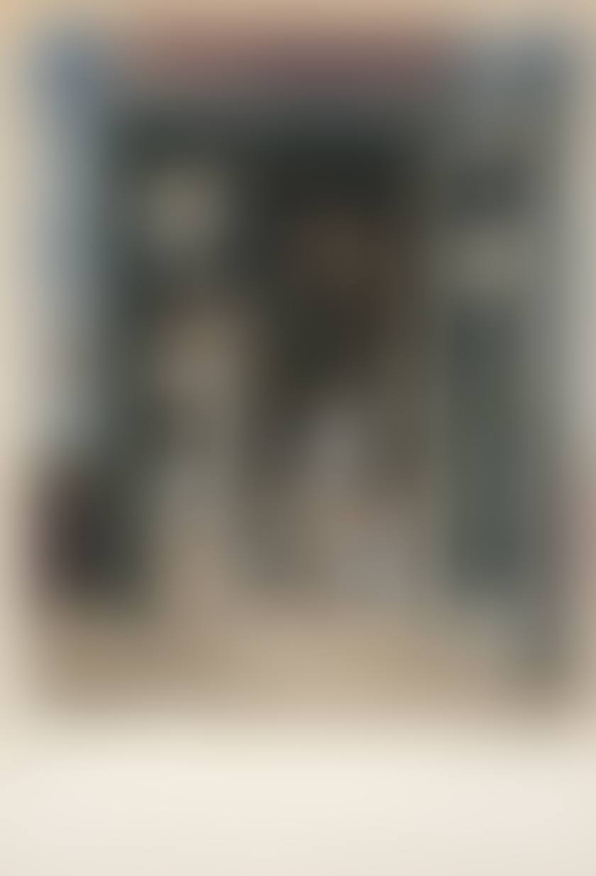 The country of mirrors (1 plate) (preview)
