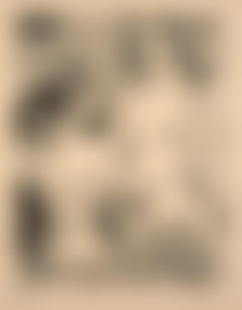 The conversation (preview)