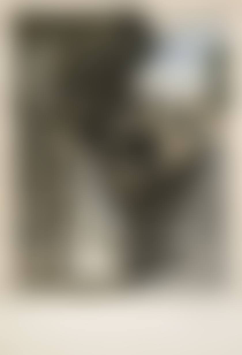 The country of mirrors (1 plate) (preview)
