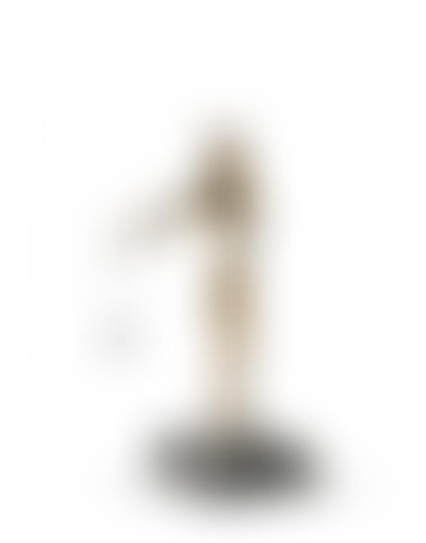 Tribute to Newton (preview)