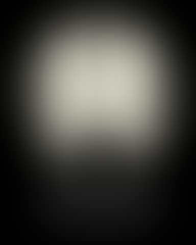 Les Dioscures (preview)
