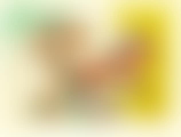 Sprong in de Lente (preview)