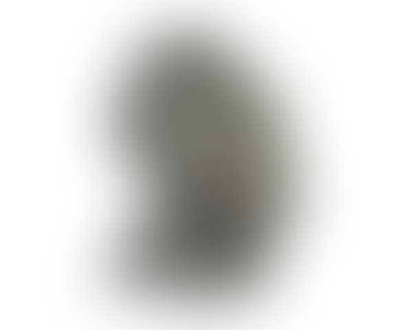 Selbstbildnis (Self-portrait) (preview)