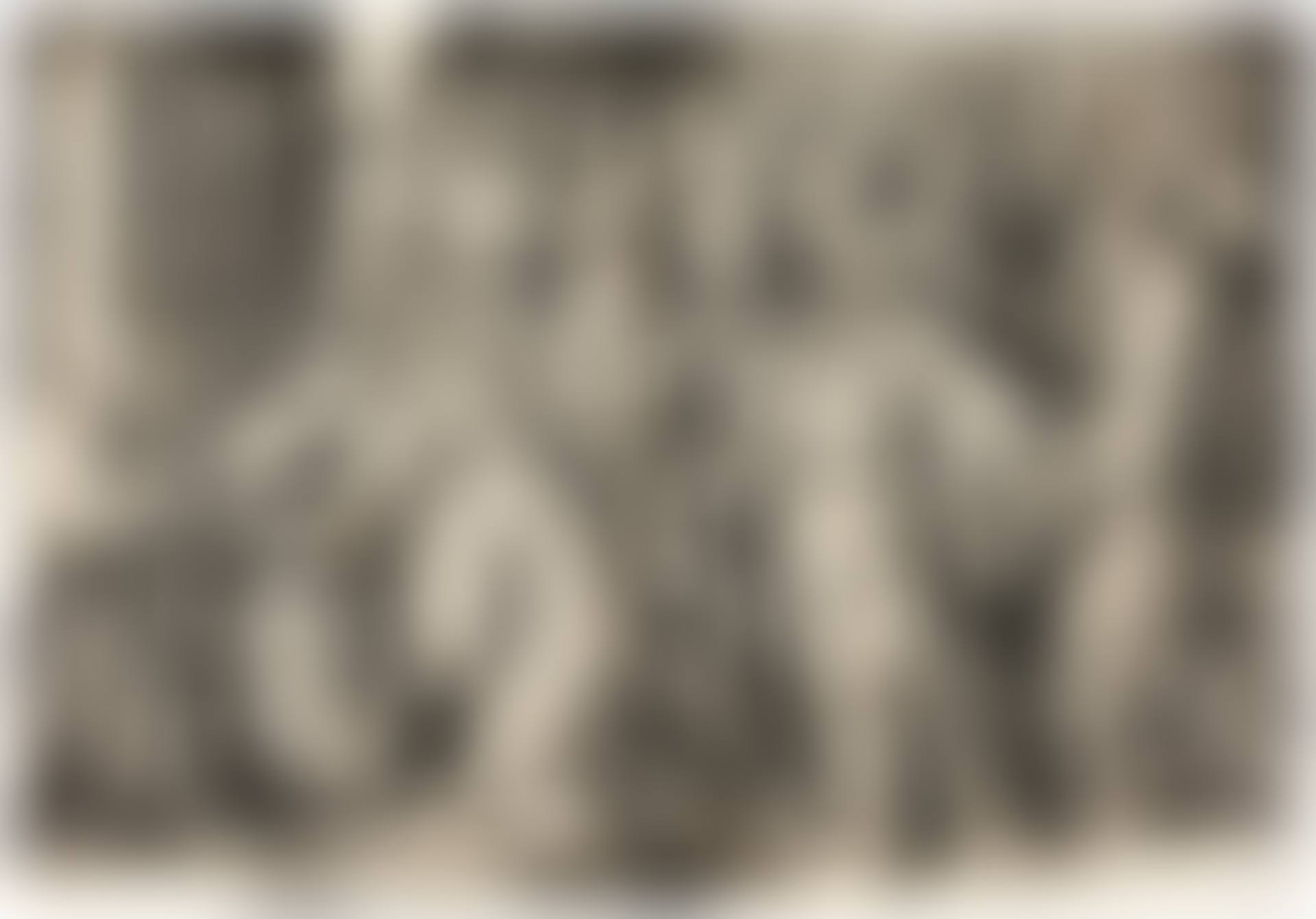 ADORATION OF THE MAGI (BARTSCH 37) (preview)