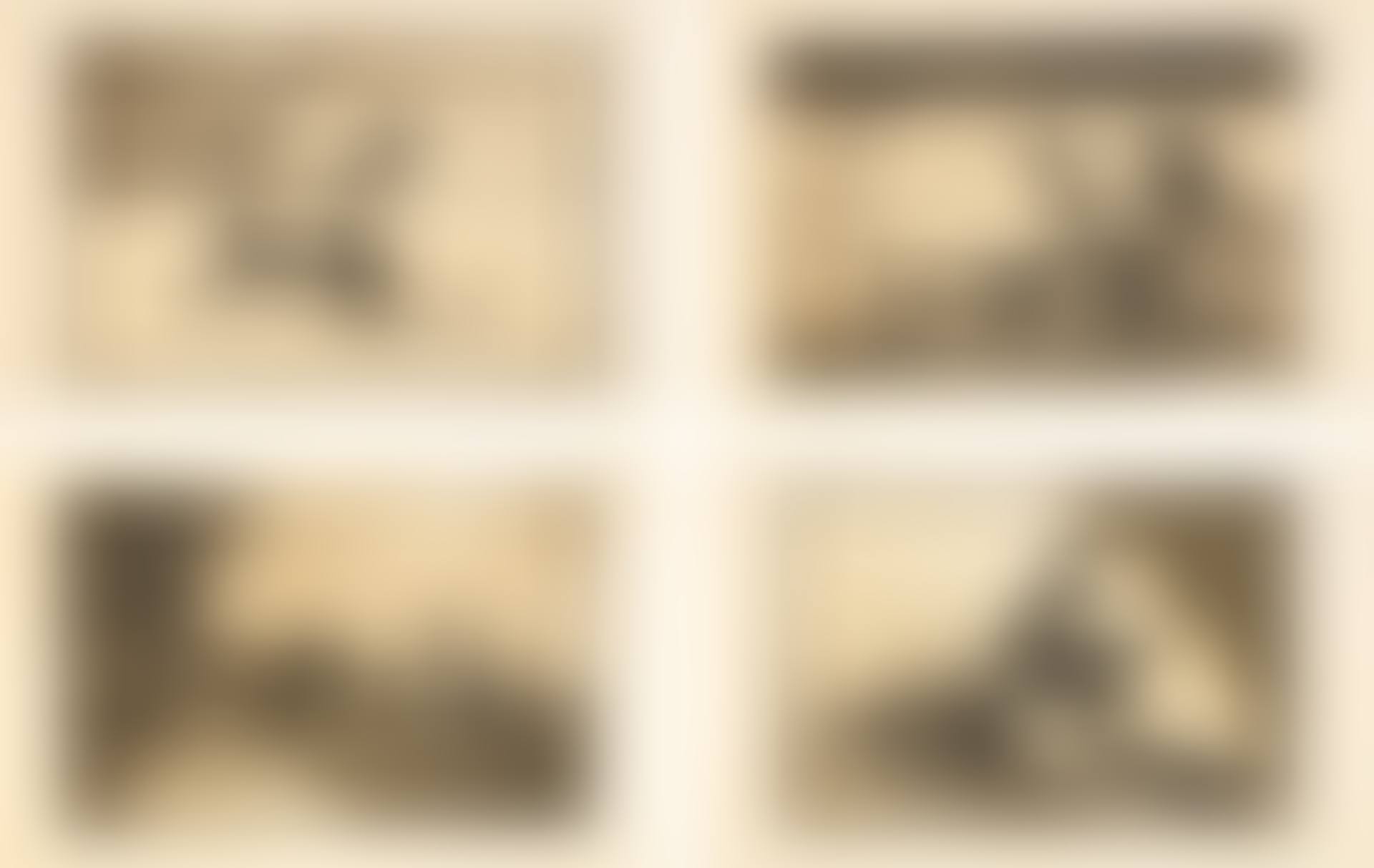 TAUROMAQUIA (40 WORKS) (D. 224-263; H. 204-243) (preview)