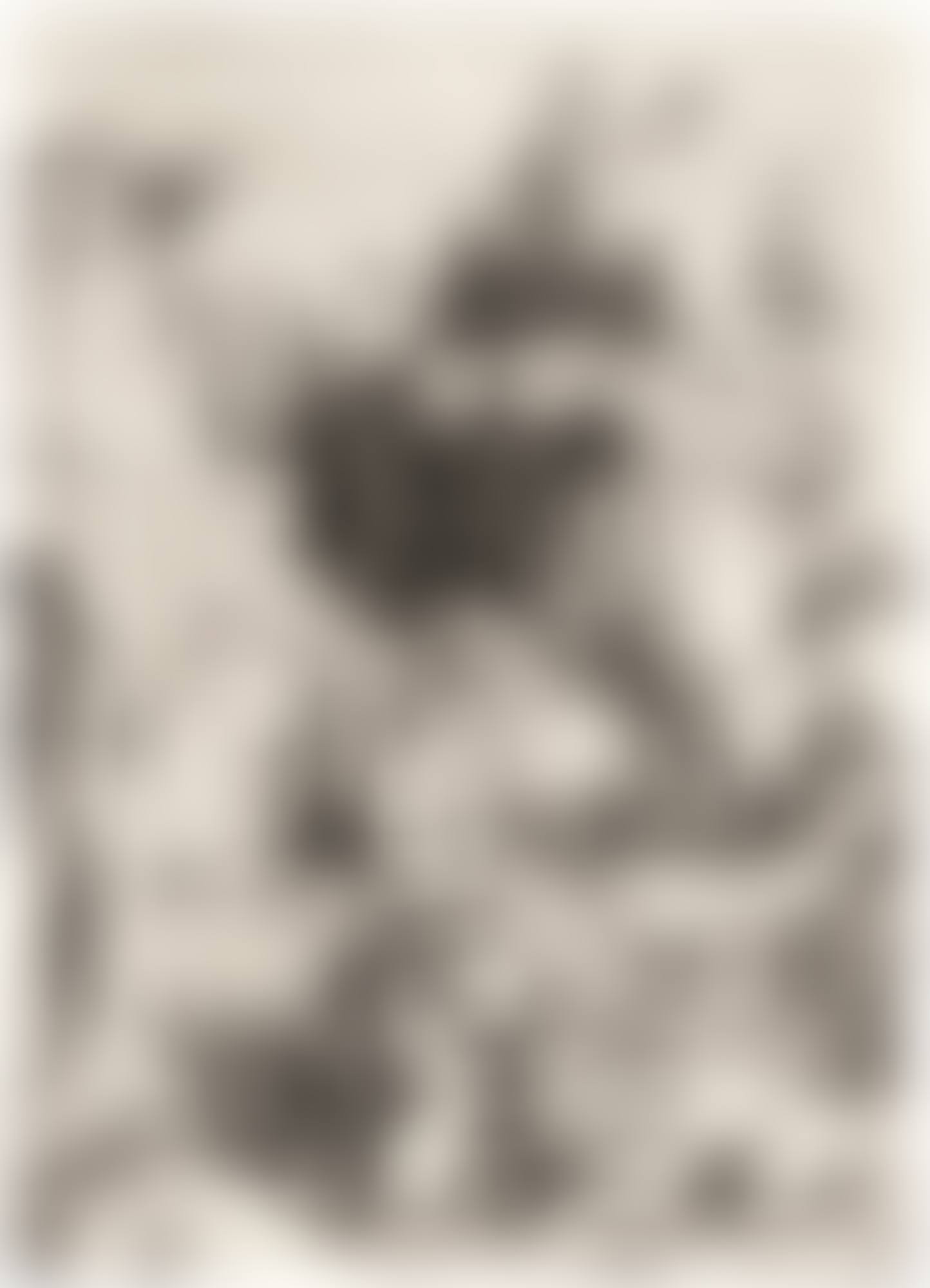 ST. JEROME IN PENITENCE (BARTSCH 61; MEDER, HOLLSTEIN 57) (preview)