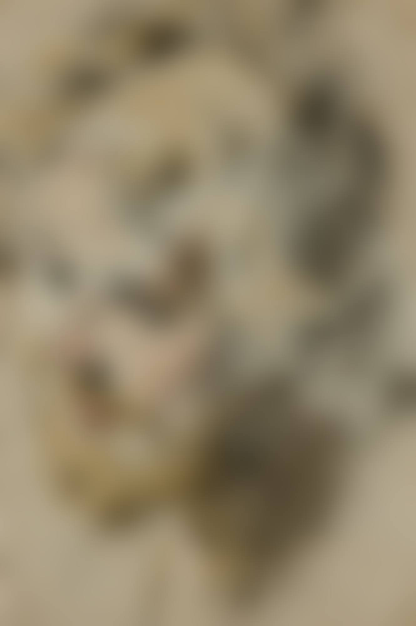 STUDY OF A MALE HEAD (preview)