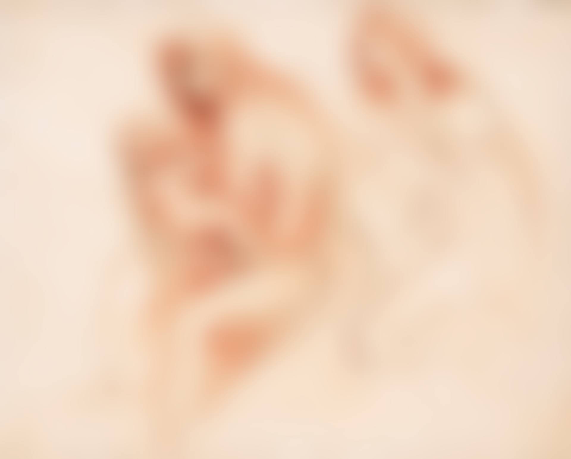 STUDIES FOR A MYSTIC MARRIAGE OF ST. CATHERINE (preview)