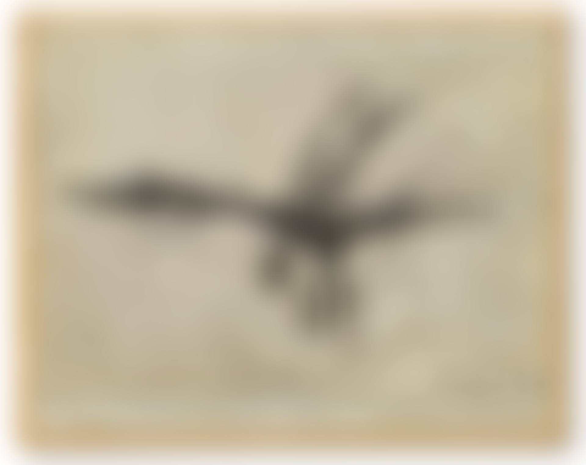 FLYING (preview)