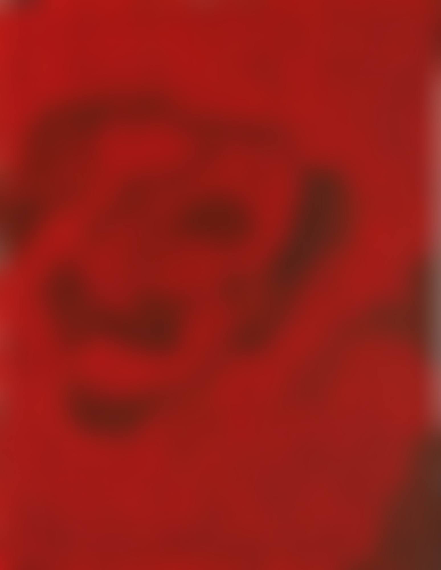 RED-NETS NO. 2.A.3. (preview)